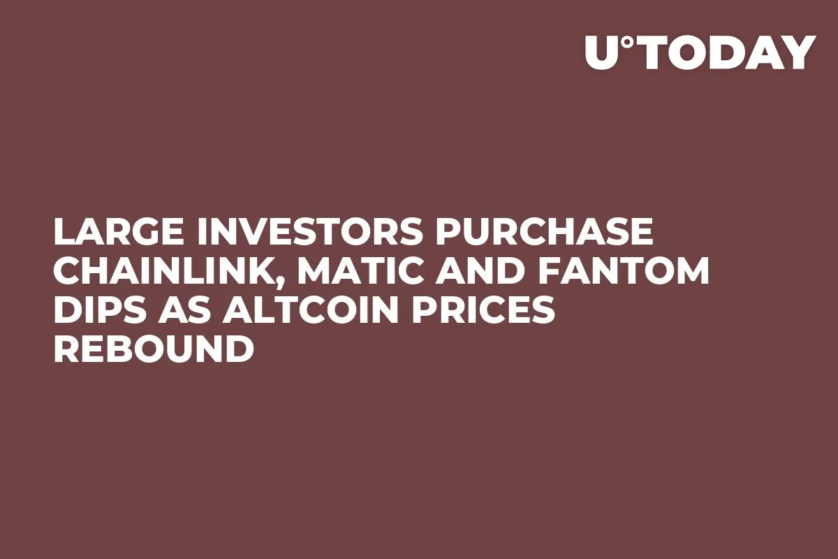 Large Investors Purchase Chainlink, MATIC and Fantom Dips as Altcoin Prices Rebound