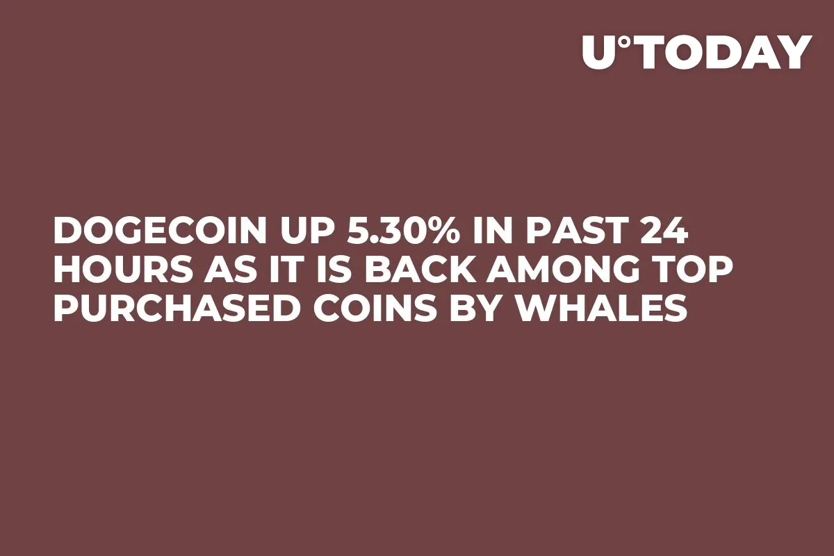 Dogecoin Up 5.30% in Past 24 Hours as It Is Back Among Top Purchased Coins by Whales