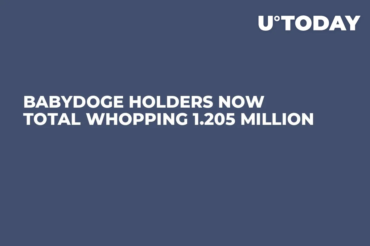 BabyDoge Holders Now Total Whopping 1.205 Million