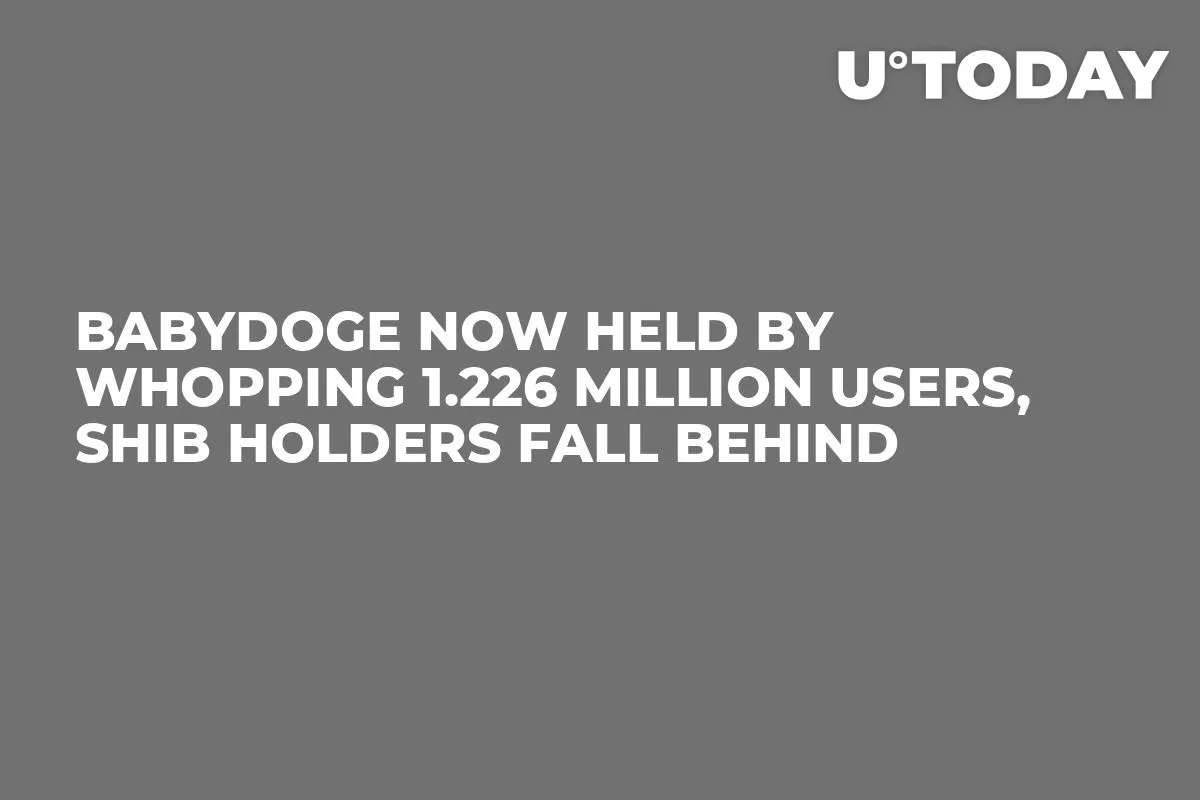 BabyDoge Now Held by Whopping 1.226 Million Users, SHIB Holders Fall Behind