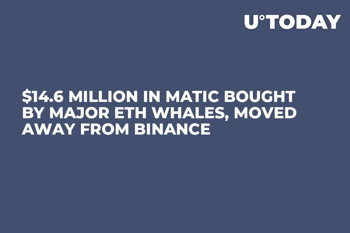$14.6 Million in MATIC Bought by Major ETH Whales, Moved Away from Binance