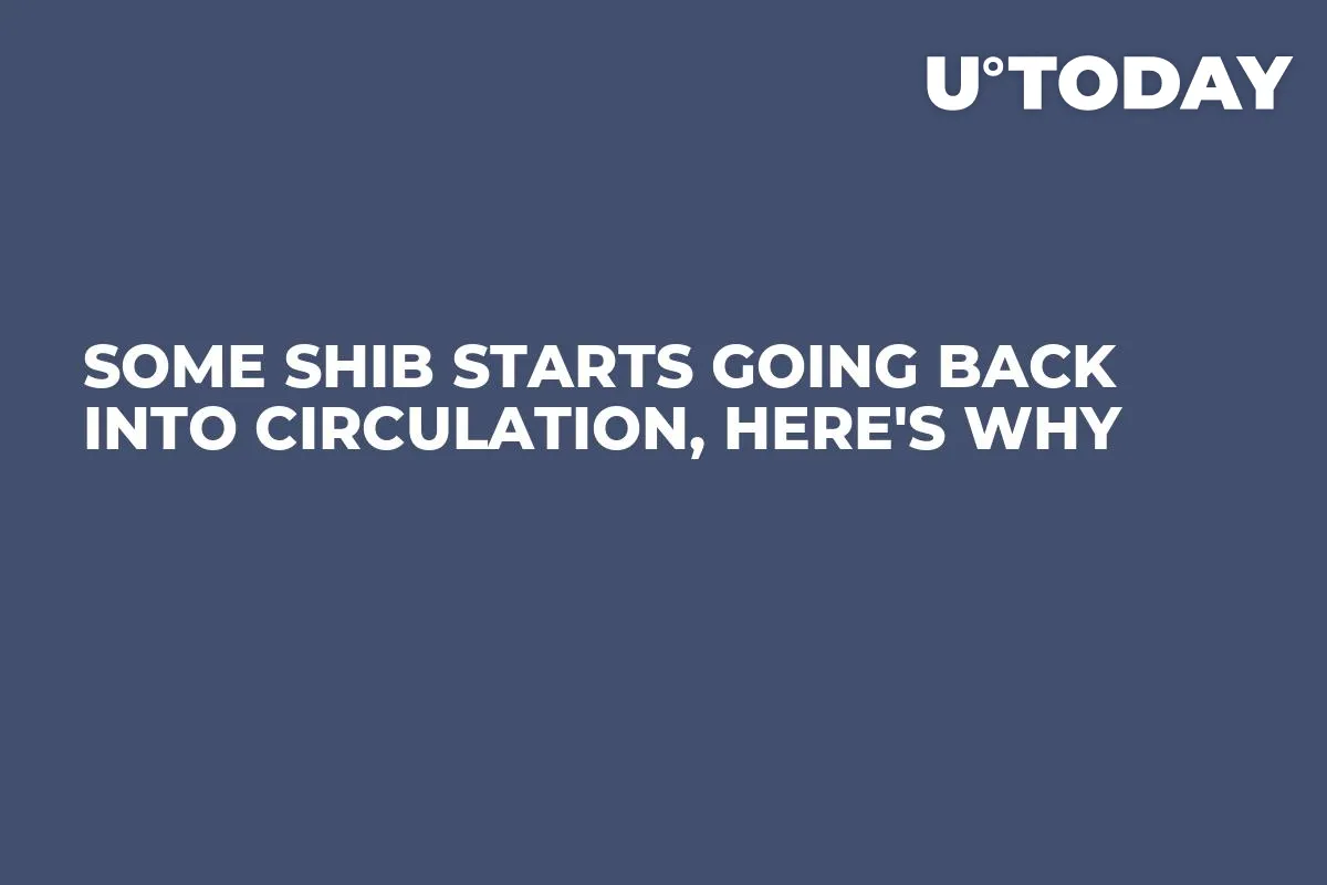 Some SHIB Starts Going Back into Circulation, Here's Why