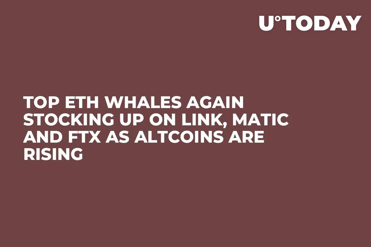 Top ETH Whales Again Stocking Up on LINK, MATIC and FTX as Altcoins Are Rising