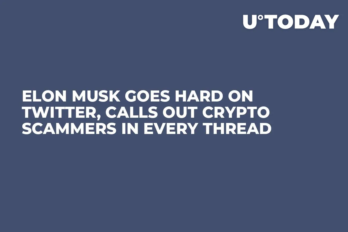 Elon Musk Goes Hard on Twitter, Calls Out Crypto Scammers in Every Thread