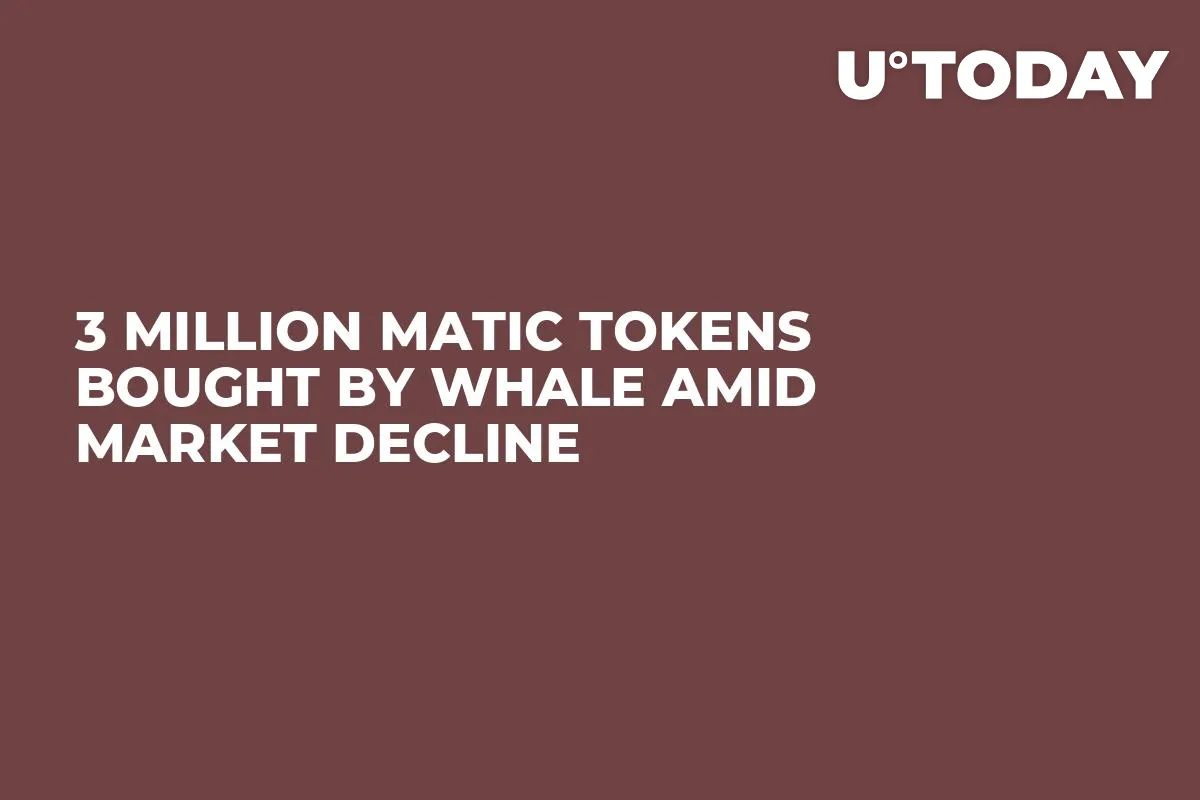 3 Million MATIC Tokens Bought by Whale Amid Market Decline