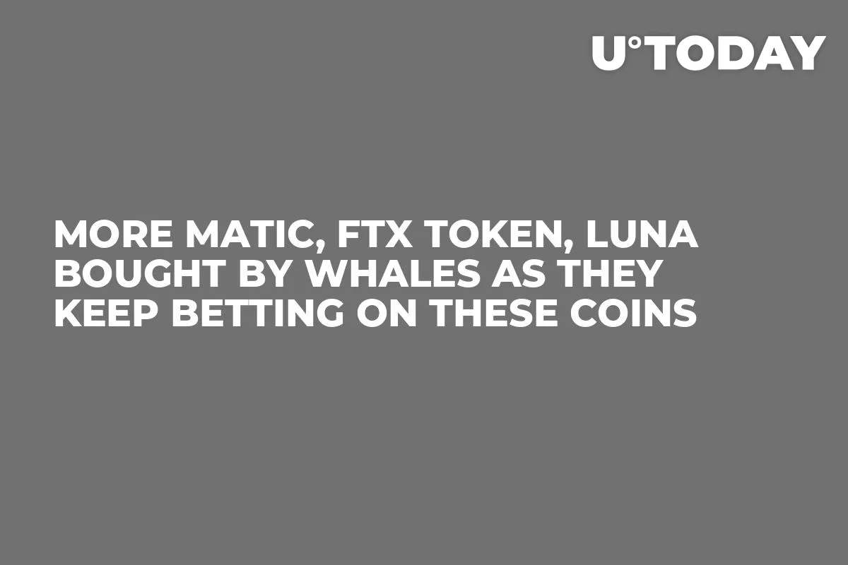 More MATIC, FTX Token, LUNA Bought by Whales as They Keep Betting on These Coins