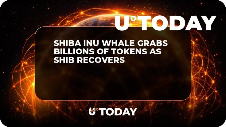 Shiba Inu Whale Grabs Billions of Tokens as SHIB Recovers