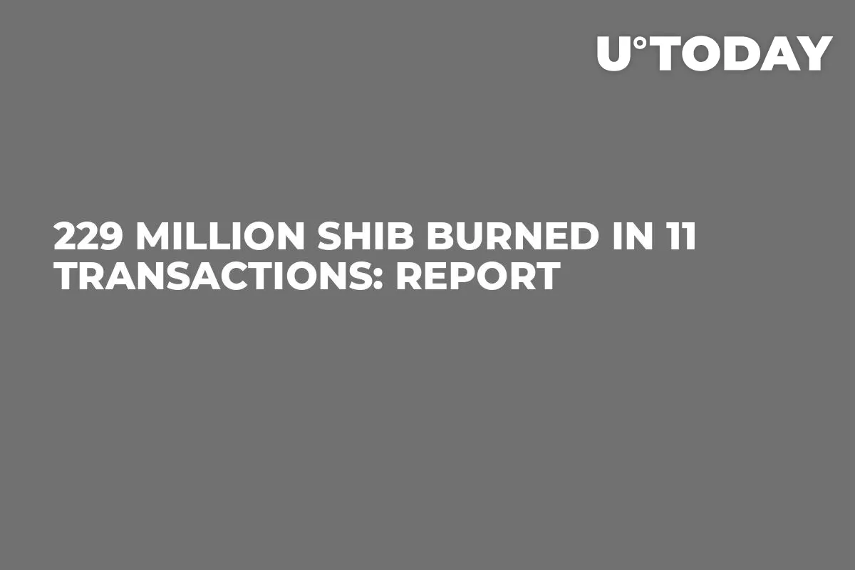 229 Million SHIB Burned in 11 Transactions: Report