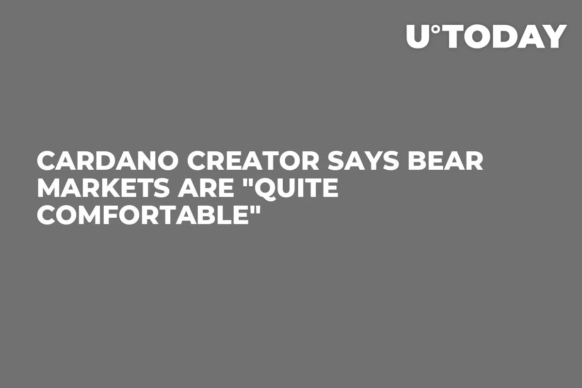 Cardano Creator Says Bear Markets Are "Quite Comfortable"