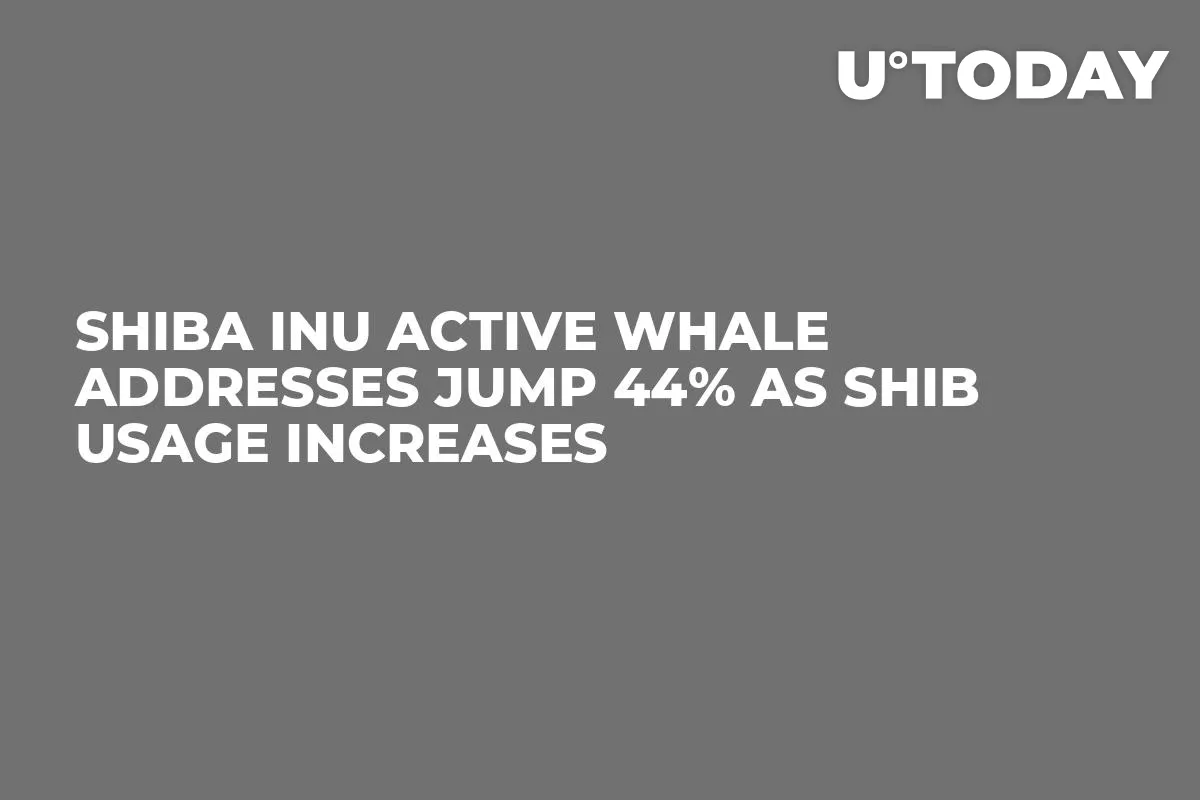 Shiba Inu Active Whale Addresses Jump 44% as SHIB Usage Increases