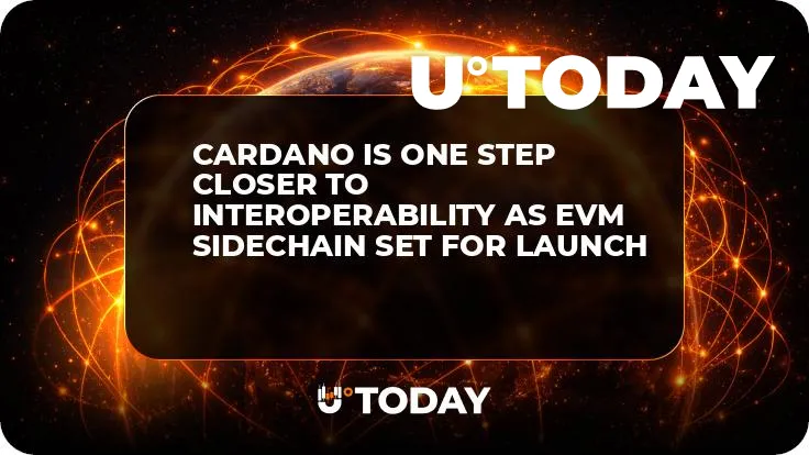 Cardano Is One Step Closer to Interoperability as EVM Sidechain Set for Launch