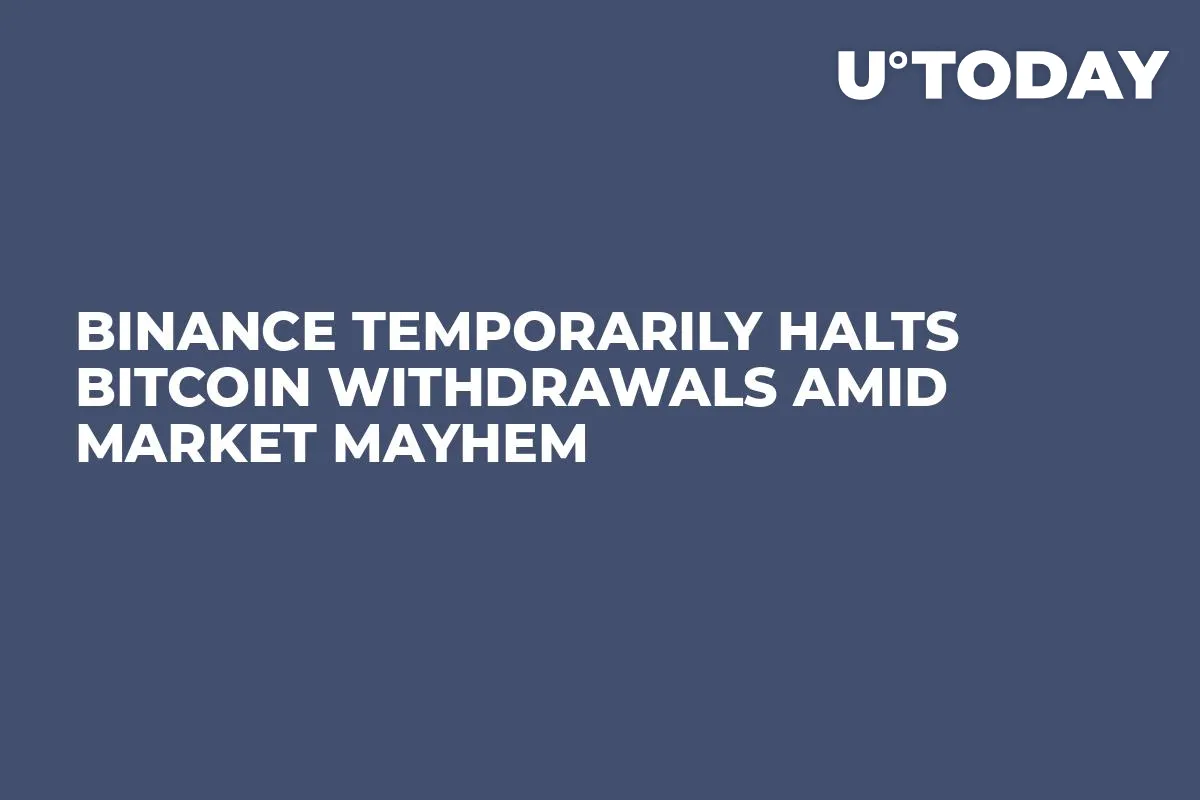 Binance Temporarily Halts Bitcoin Withdrawals Amid Market Mayhem