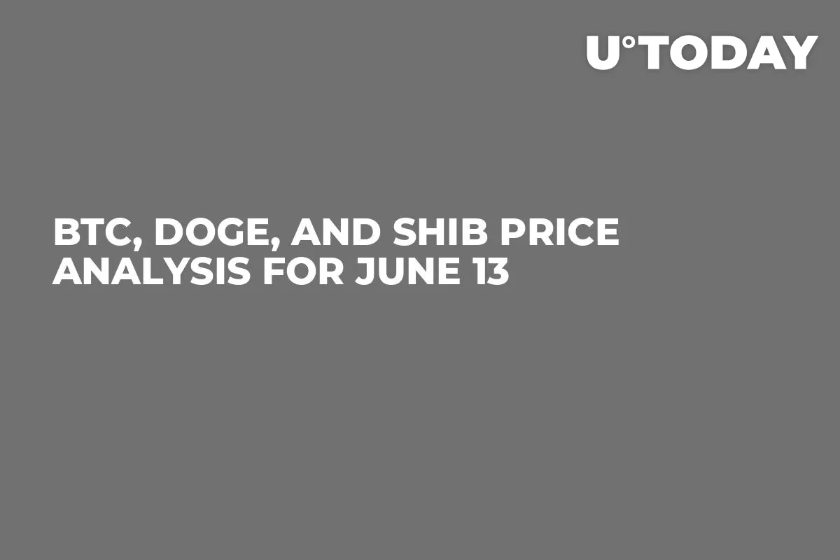 BTC, DOGE, and SHIB Price Analysis for June 13