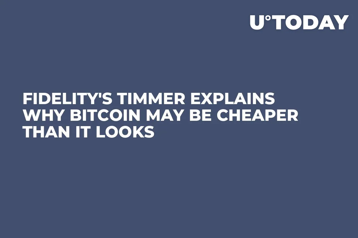 Fidelity's Timmer Explains Why Bitcoin May Be Cheaper Than It Looks