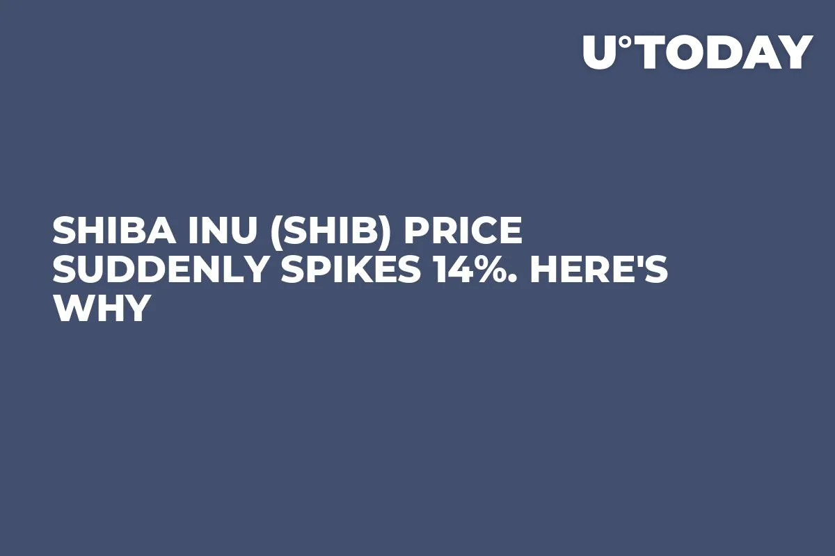 Shiba Inu (SHIB) Price Suddenly Spikes 14%. Here's Why 