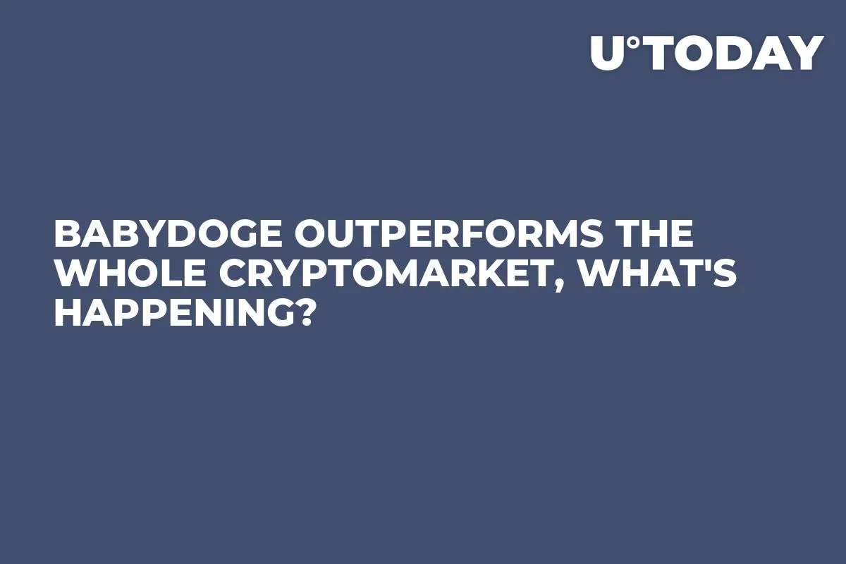 BabyDoge Outperforms the Whole Cryptomarket, What's Happening?
