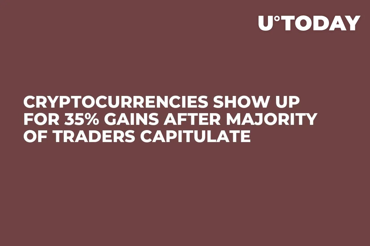 Cryptocurrencies Show up for 35% Gains After Majority of Traders Capitulate