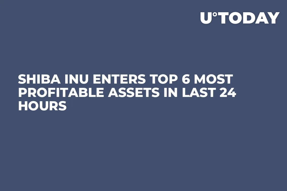 Shiba Inu Enters Top 6 Most Profitable Assets in Last 24 Hours