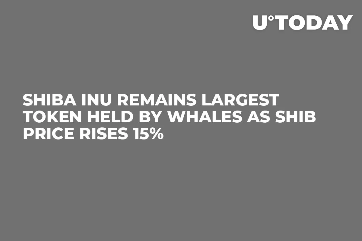 Shiba Inu Remains Largest Token Held by Whales as SHIB Price Rises 15%