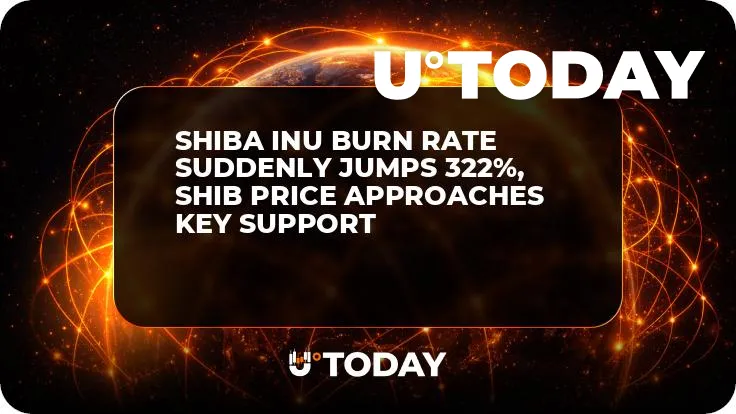 Shiba Inu Burn Rate Suddenly Jumps 322%, SHIB Price Approaches Key Support