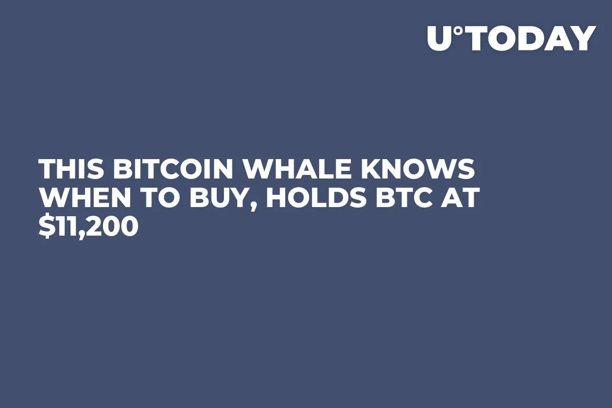 This Bitcoin Whale Knows When to Buy, Holds BTC at $11,200