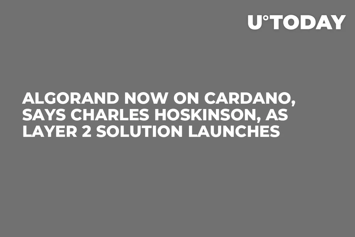 Algorand Now on Cardano, Says Charles Hoskinson, As Layer 2 Solution Launches