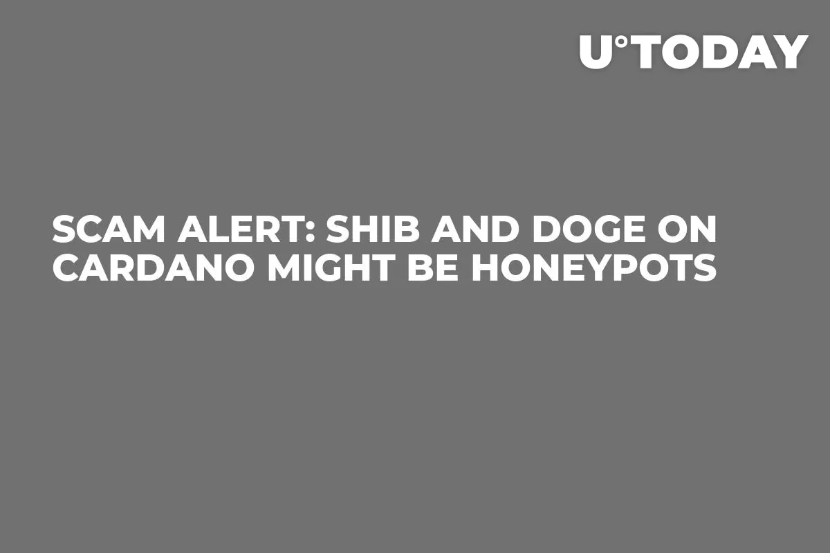 Scam Alert: SHIB and DOGE on Cardano Might Be Honeypots