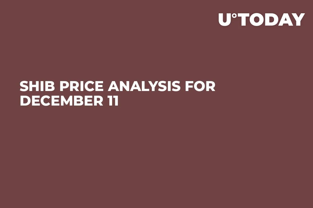 SHIB Price Analysis for December 11