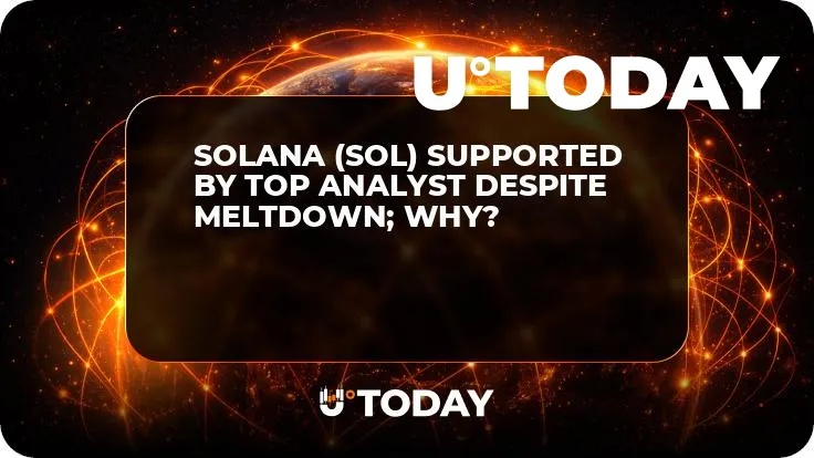 Solana (SOL) Supported by Top Analyst Despite Meltdown; Why?
