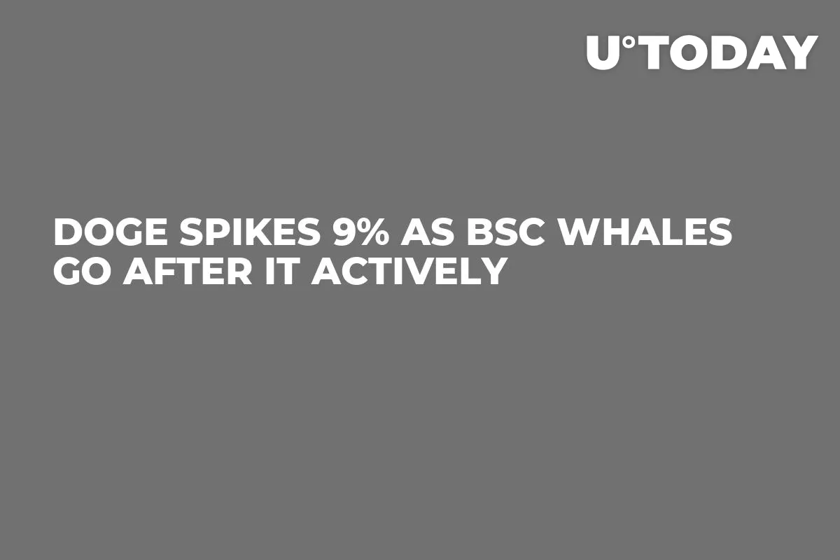 DOGE Spikes 9% as BSC Whales Go After It Actively