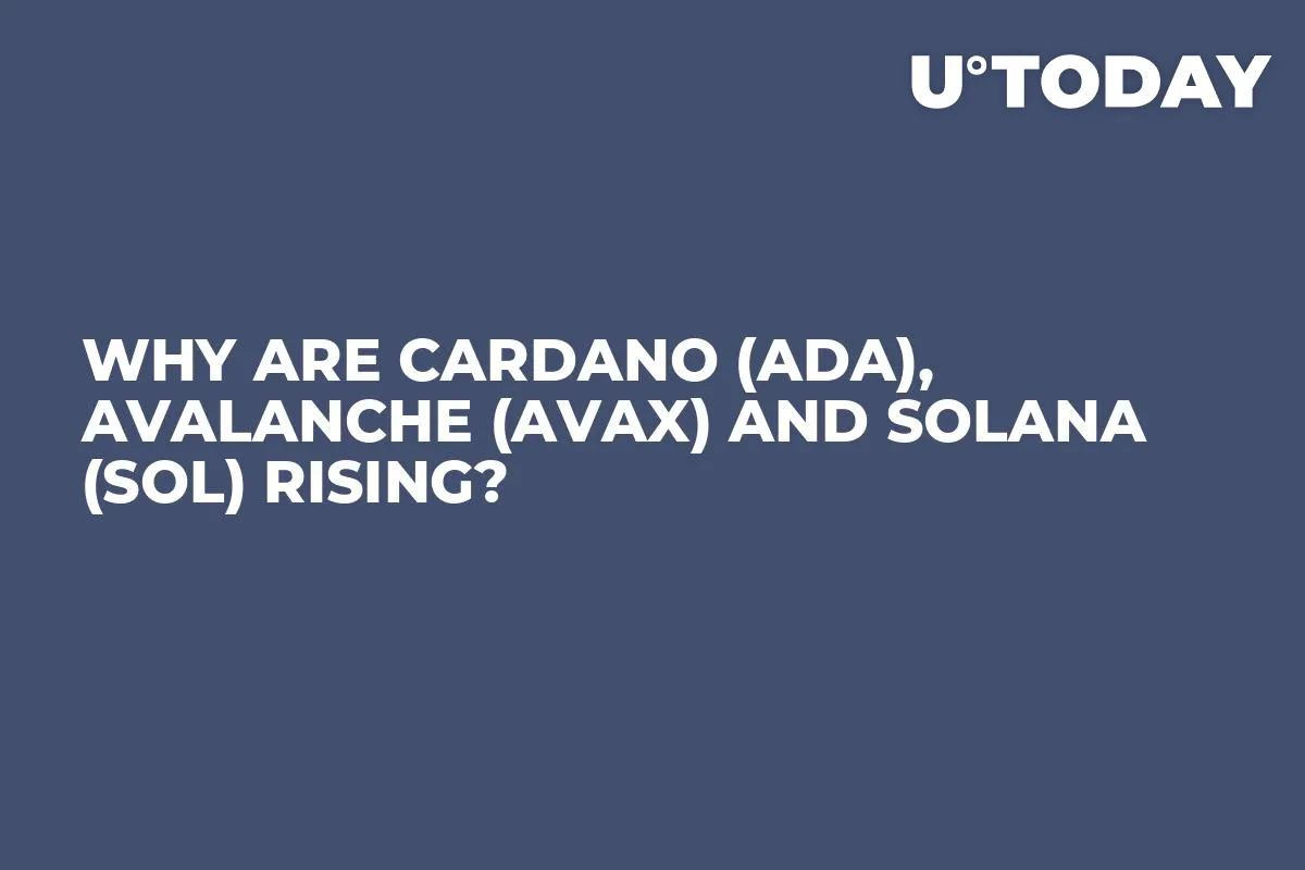 Why Are Cardano (ADA), Avalanche (AVAX) and Solana (SOL) Rising?