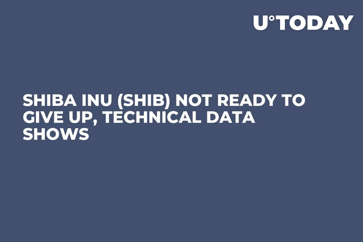 Shiba Inu (SHIB) Not Ready to Give Up, Technical Data Shows