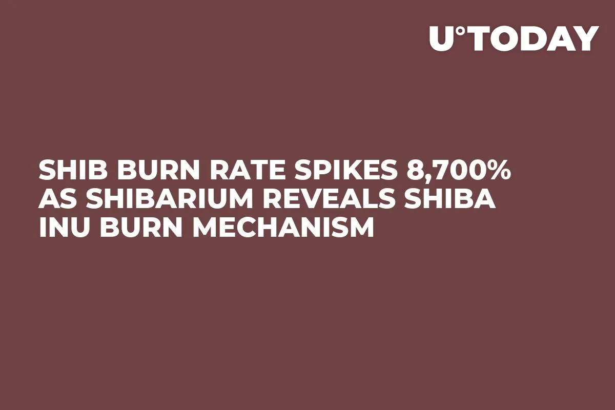 SHIB Burn Rate Spikes 8,700% as Shibarium Reveals Shiba Inu Burn Mechanism
