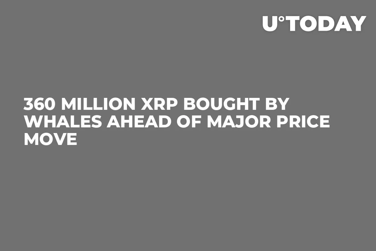 360 Million XRP Bought by Whales Ahead of Major Price Move
