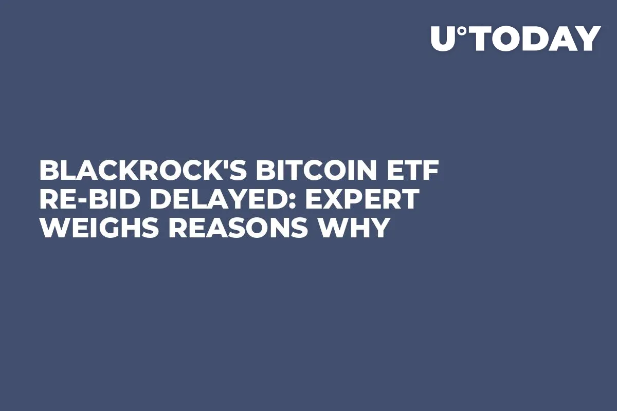 BlackRock's Bitcoin ETF Re-Bid Delayed: Expert Weighs Reasons Why