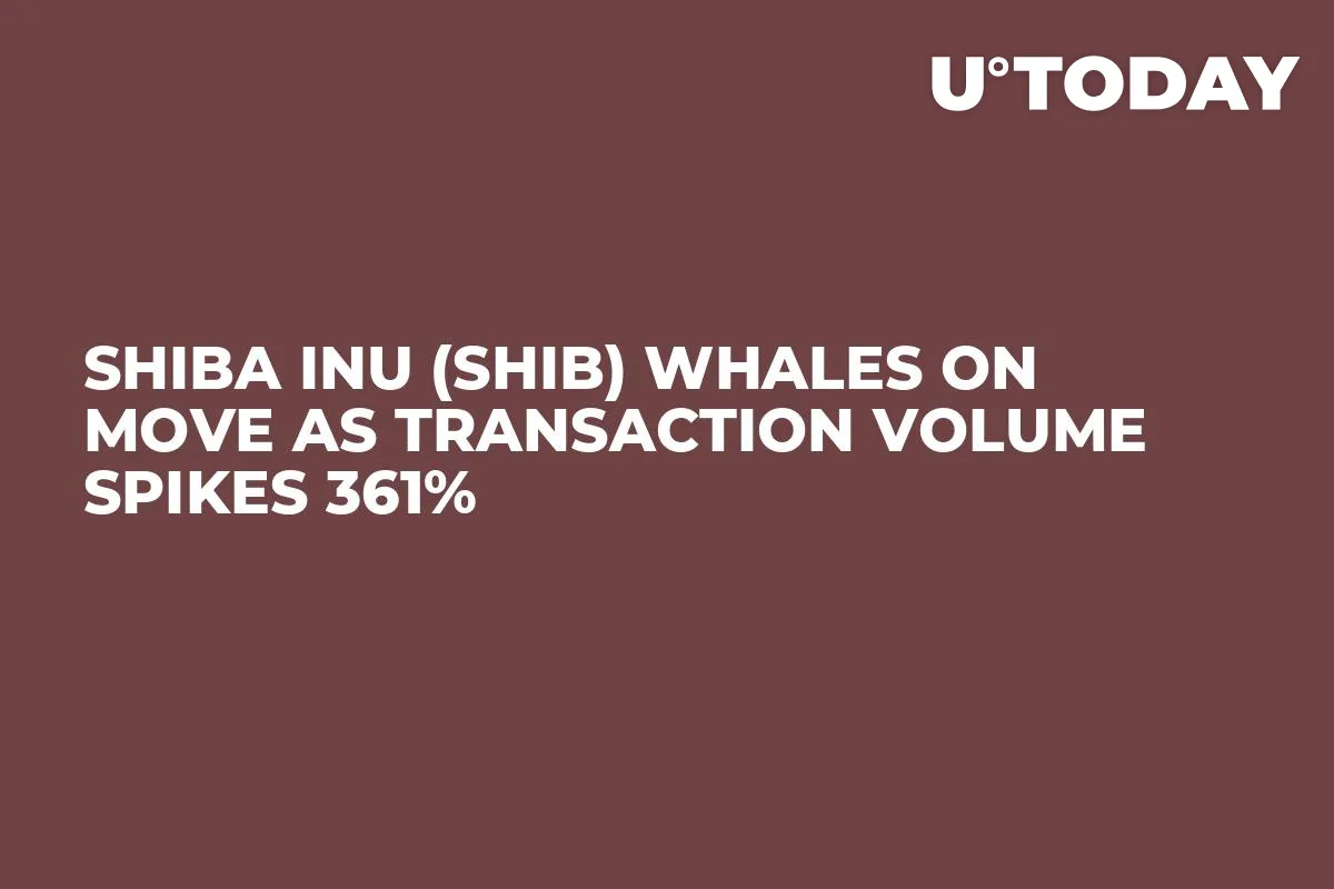 Shiba Inu (SHIB) Whales on Move as Transaction Volume Spikes 361%
