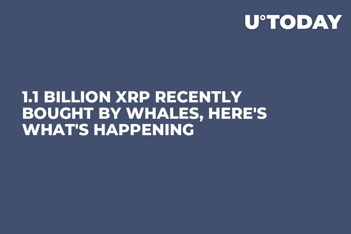 1.1 Billion XRP Recently Bought by Whales, Here's What's Happening