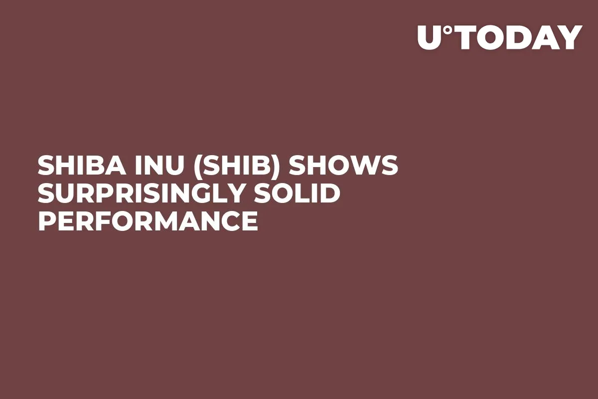 Shiba Inu (SHIB) Shows Surprisingly Solid Performance