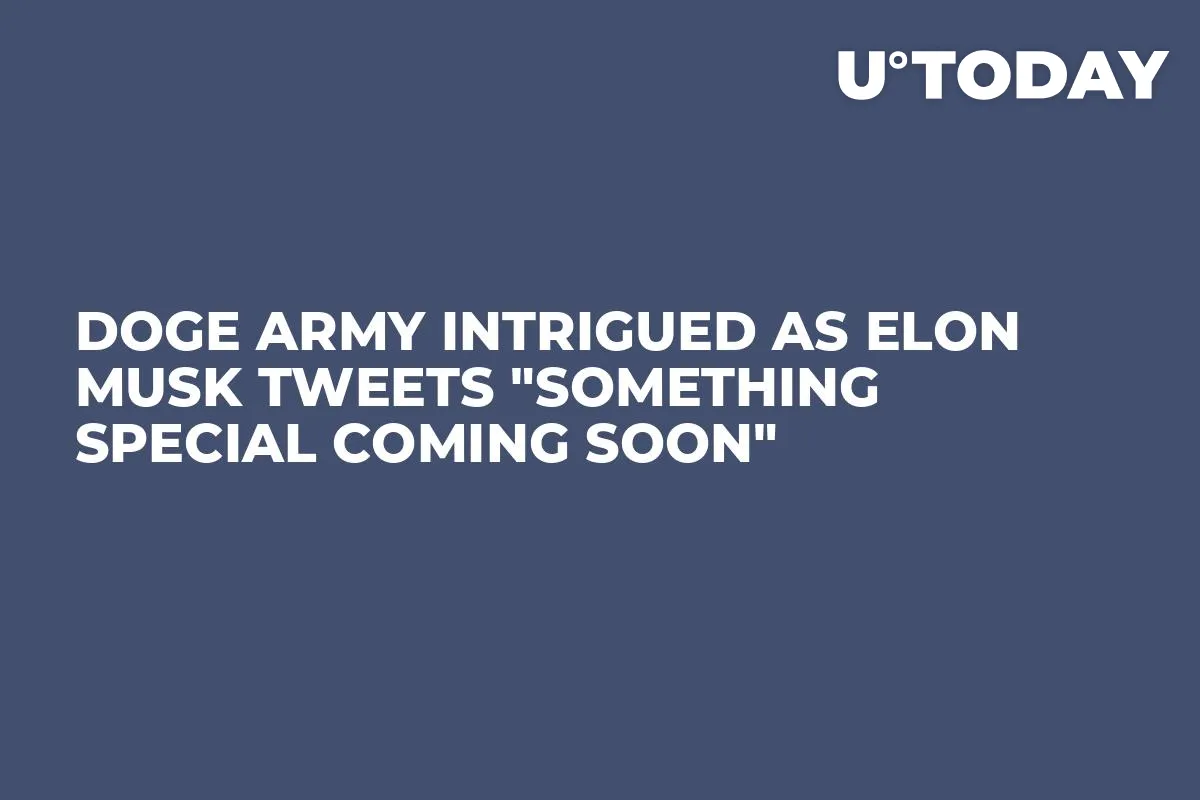 DOGE Army Intrigued As Elon Musk Tweets "Something Special Coming Soon"