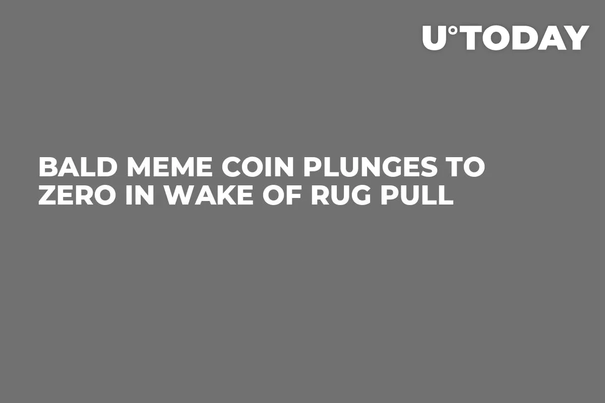 BALD Meme Coin Plunges to Zero in Wake of Rug Pull