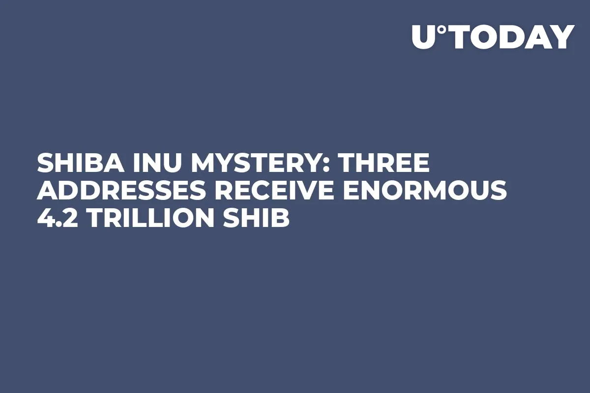Shiba Inu Mystery: Three Addresses Receive Enormous 4.2 Trillion SHIB