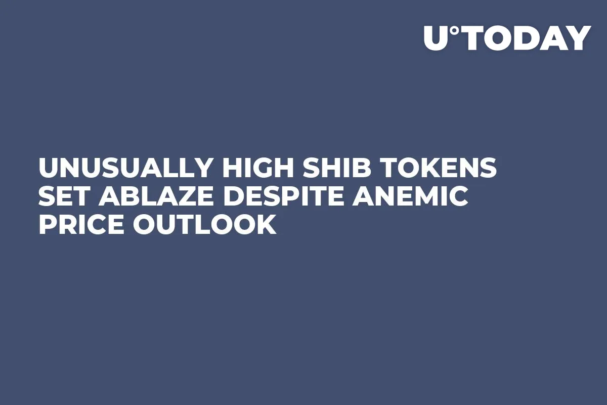 Unusually High SHIB Tokens Set Ablaze Despite Anemic Price Outlook