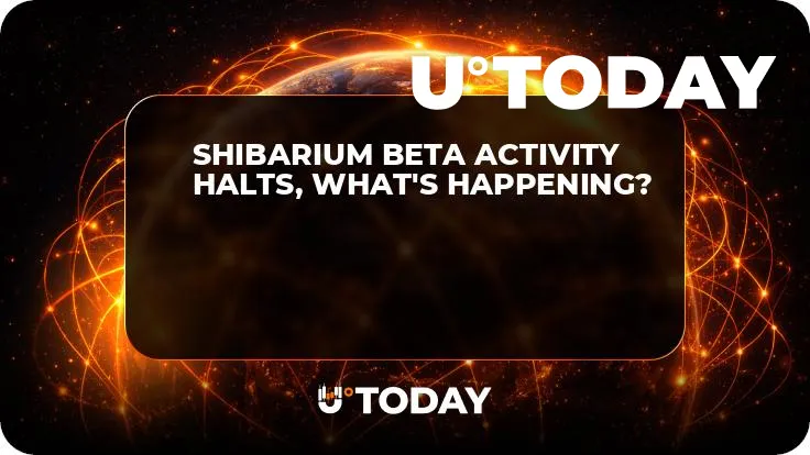Shibarium Beta Activity Halts, What's Happening?
