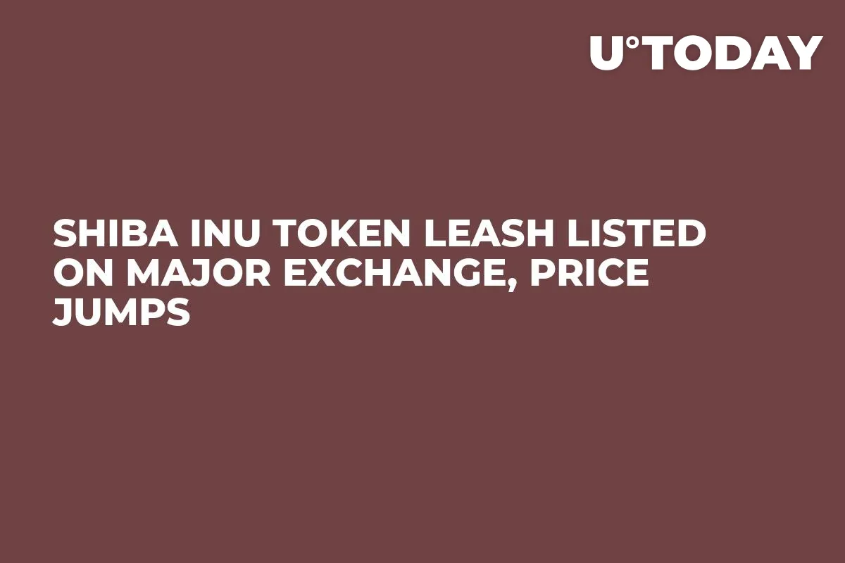 Shiba Inu Token LEASH Listed on Major Exchange, Price Jumps