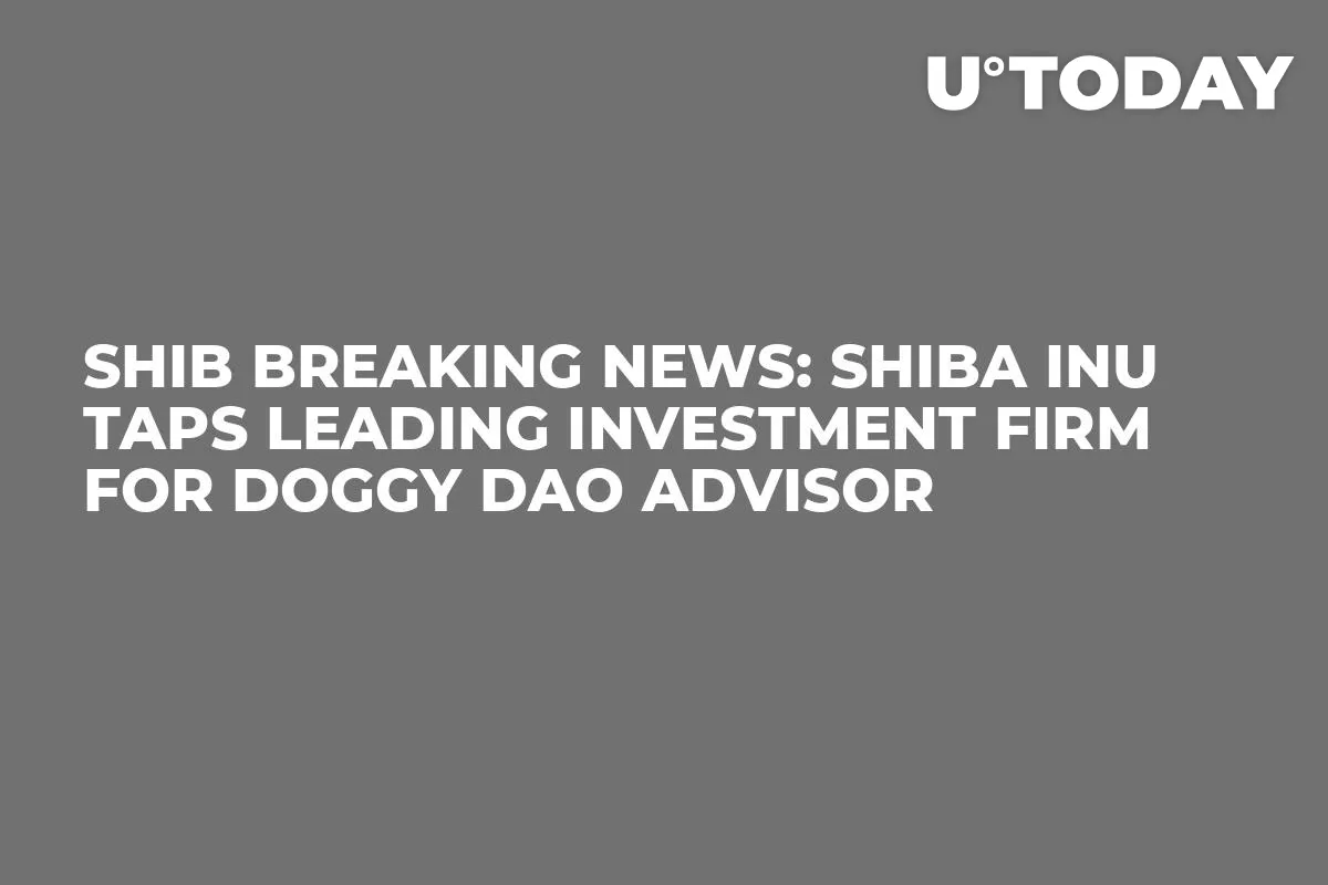 SHIB Breaking News: Shiba Inu Taps Leading Investment Firm for Doggy Dao Advisor