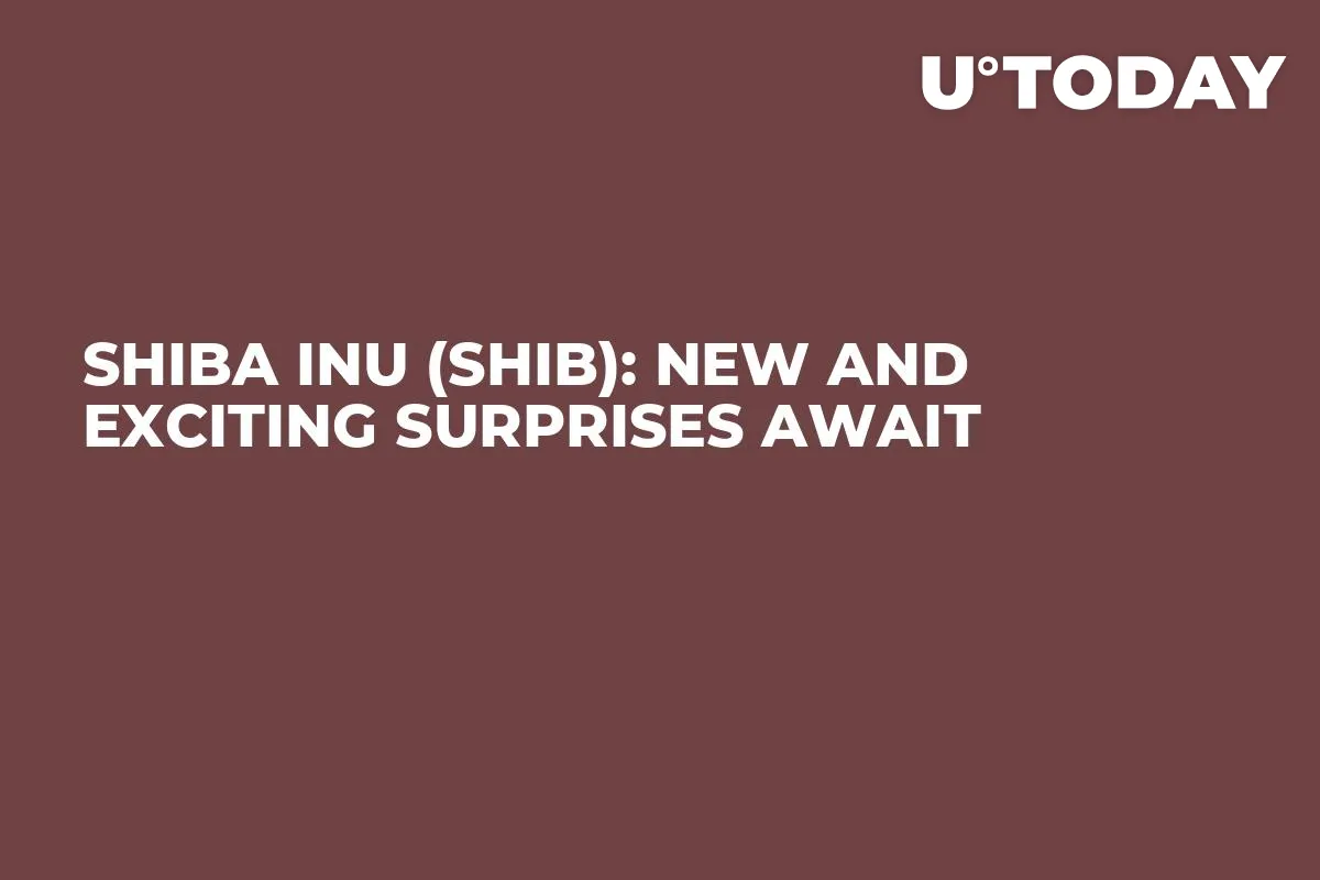 Shiba Inu (SHIB): New and Exciting Surprises Await