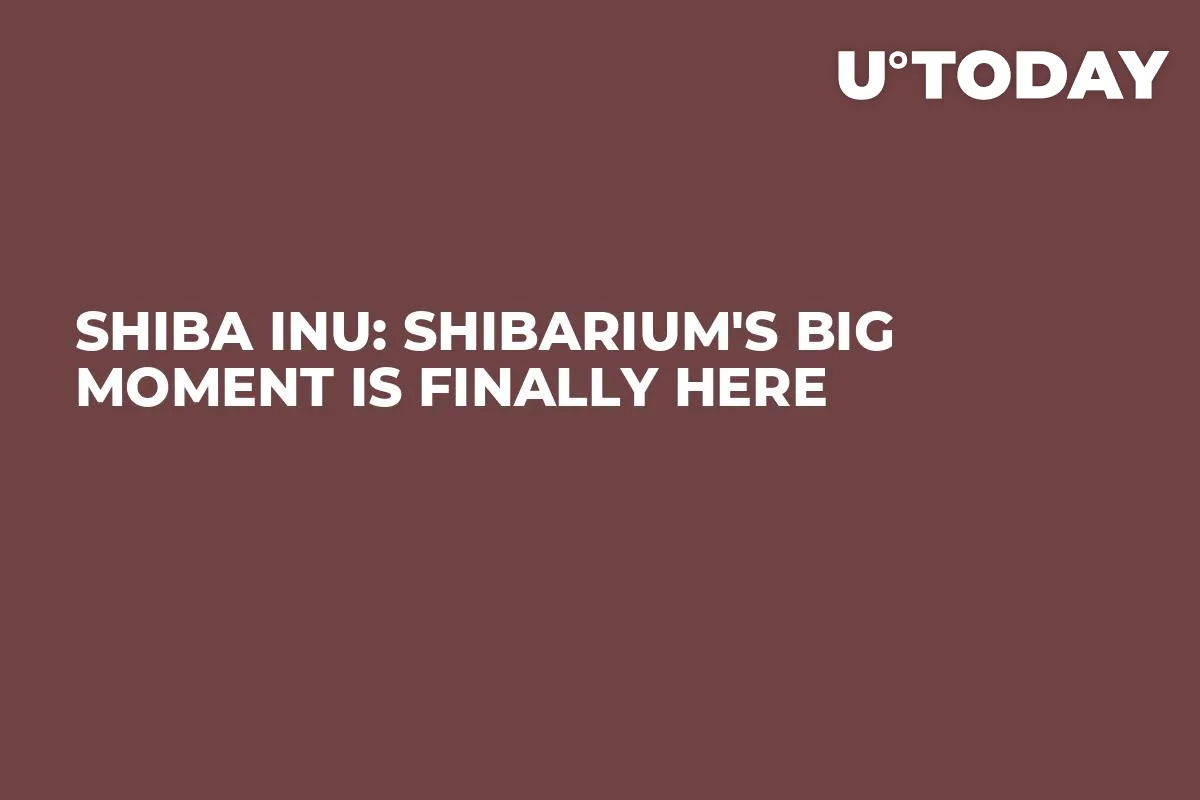 Shiba Inu: Shibarium's Big Moment Is Finally Here