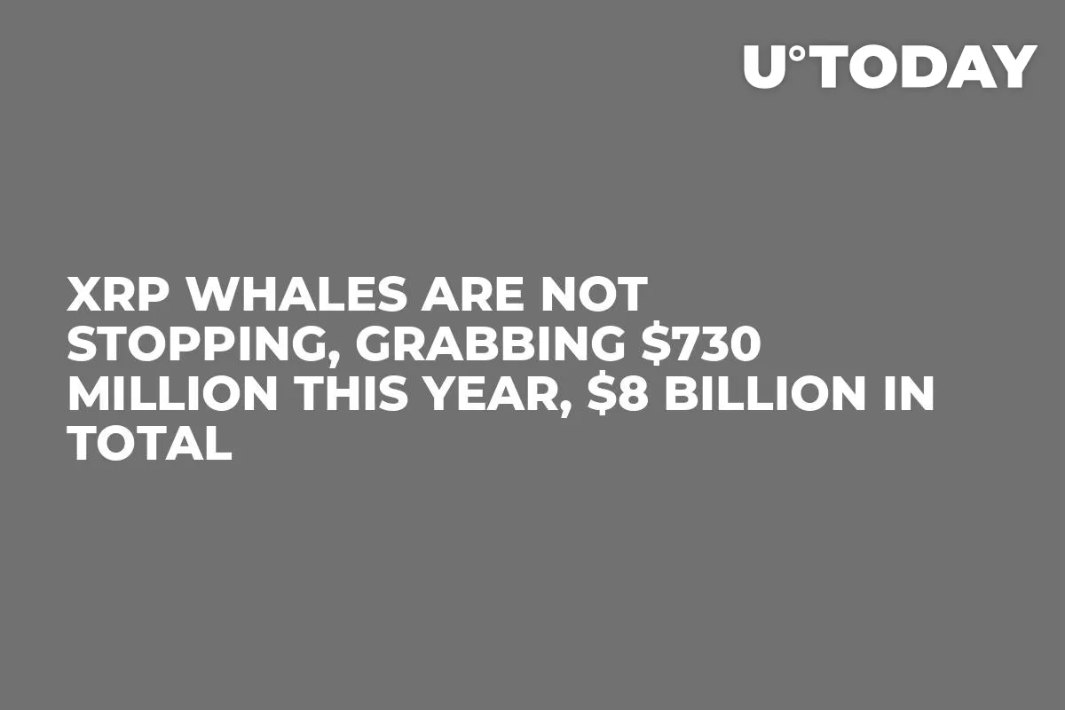 XRP Whales Are Not Stopping, Grabbing $730 Million This Year, $8 Billion in Total