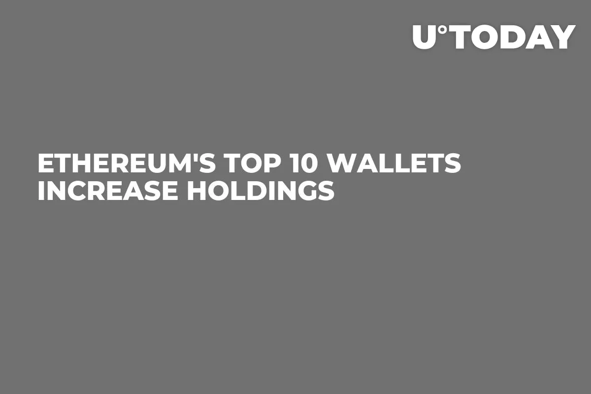 Ethereum's Top 10 Wallets Increase Holdings