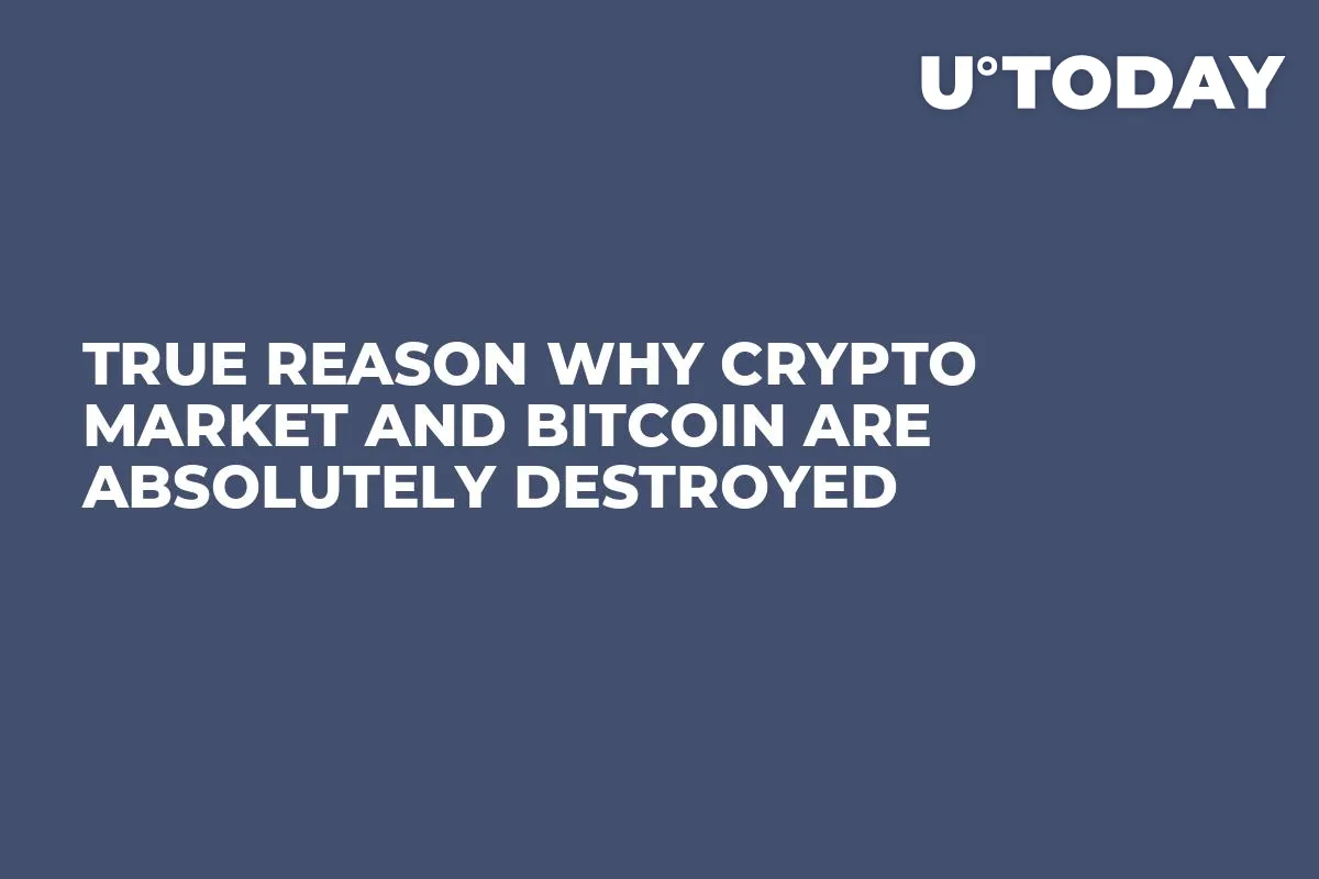 True Reason Why Crypto Market and Bitcoin Are Absolutely Destroyed